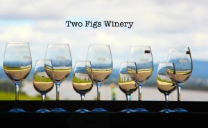 2 figs winery