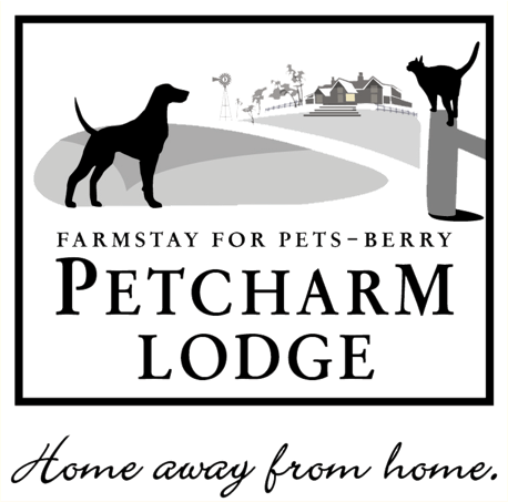 petcharm-logo-web-0028clear0029